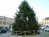 Natale a Noale photography by Giulio Barbon