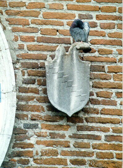 Foto R. Pellizzon Otus.